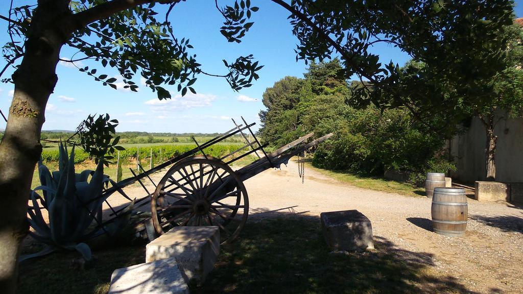 Chateau Le Vergel Authenac Ginestas Rom bilde