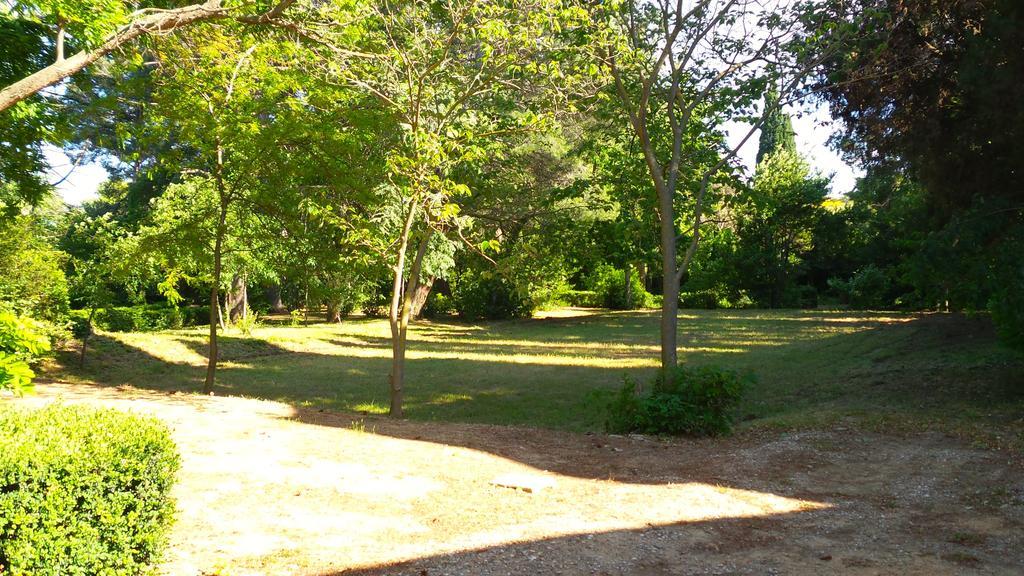 Chateau Le Vergel Authenac Ginestas Rom bilde
