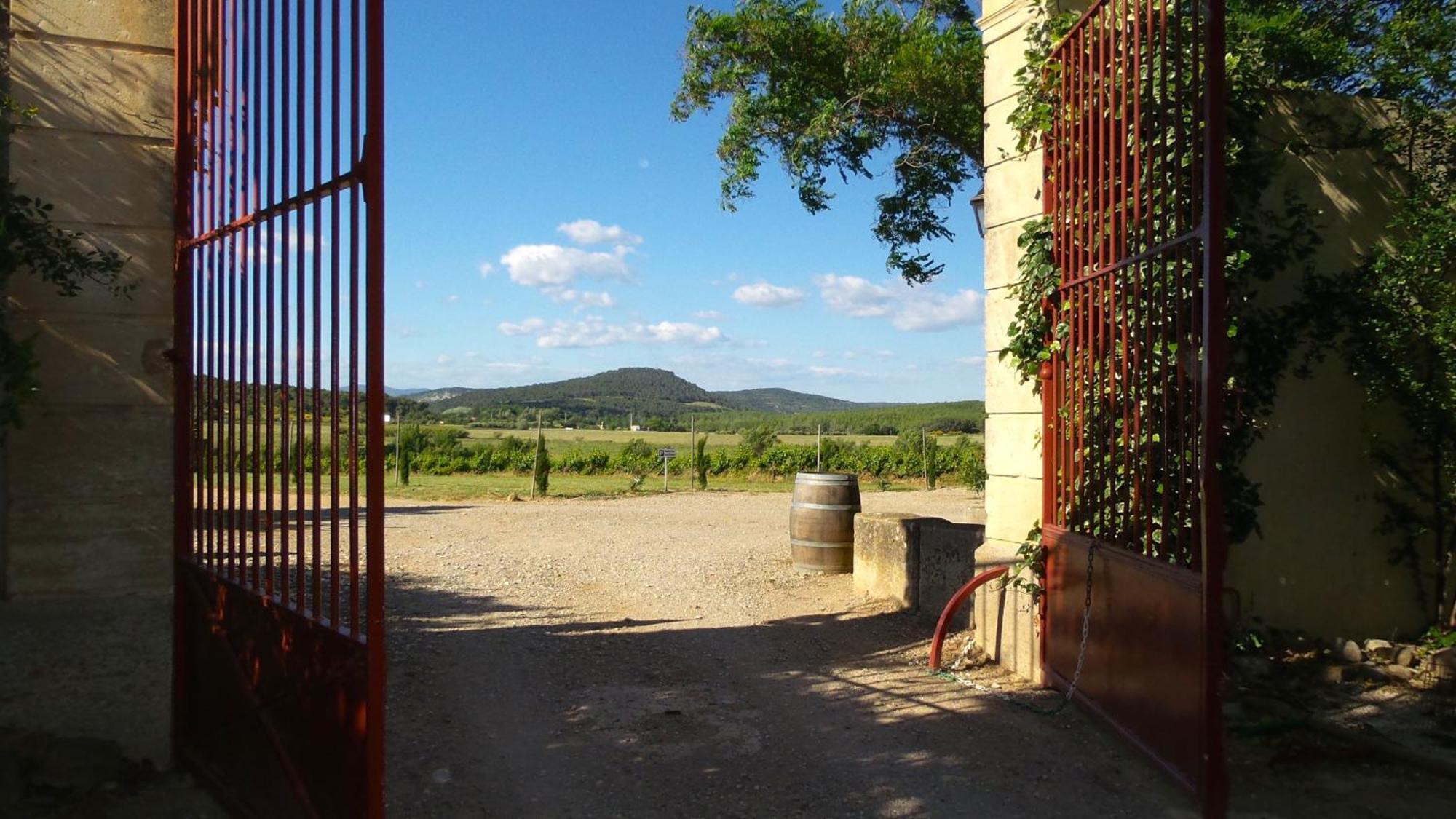 Chateau Le Vergel Authenac Ginestas Rom bilde