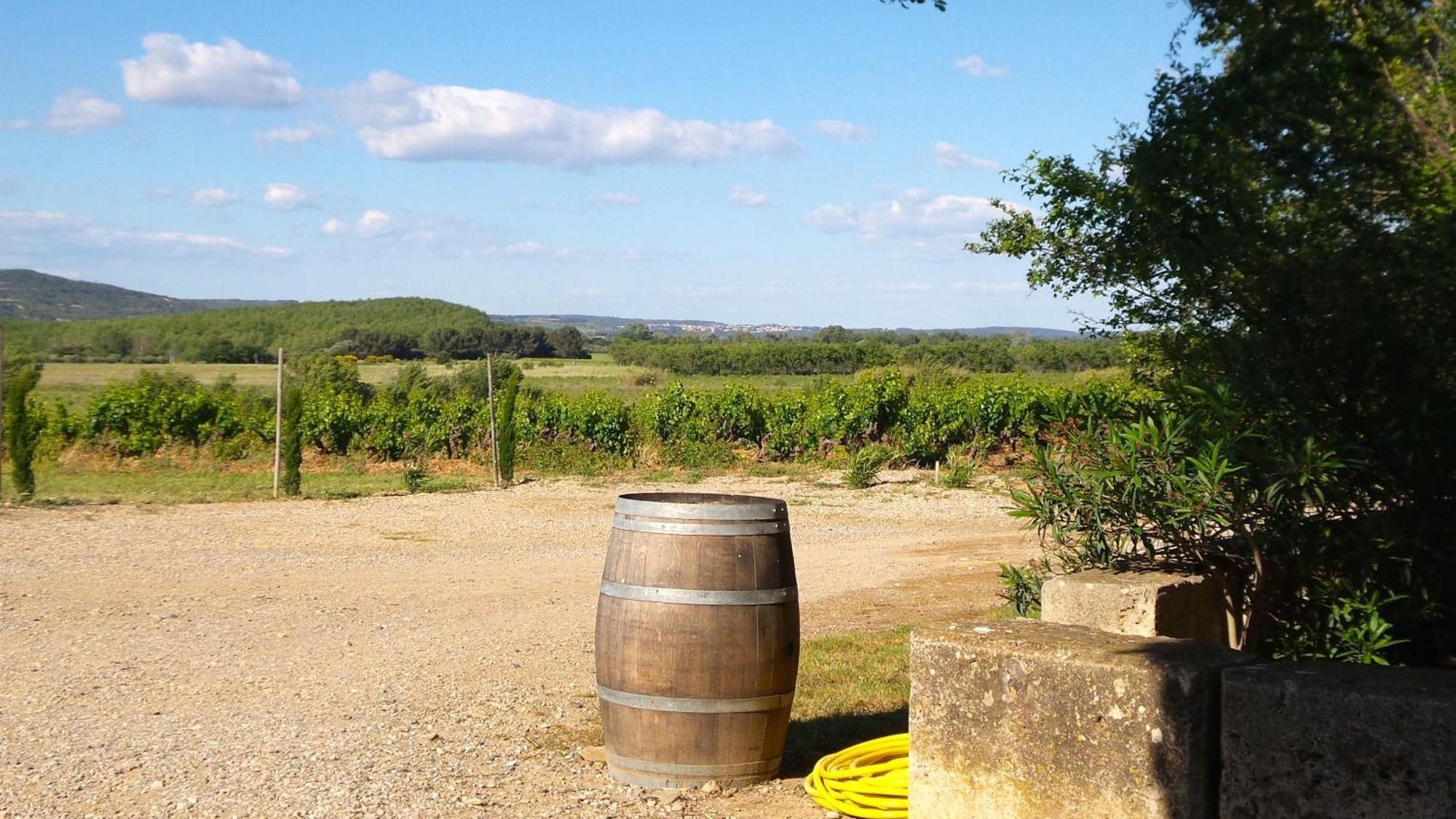 Chateau Le Vergel Authenac Ginestas Rom bilde